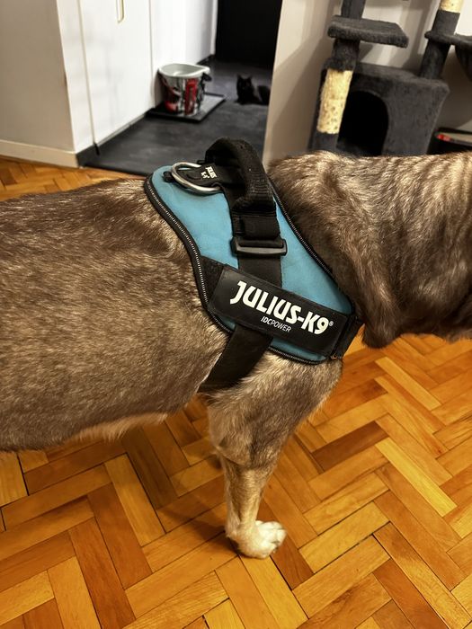 Ham pentru caini K9 XL