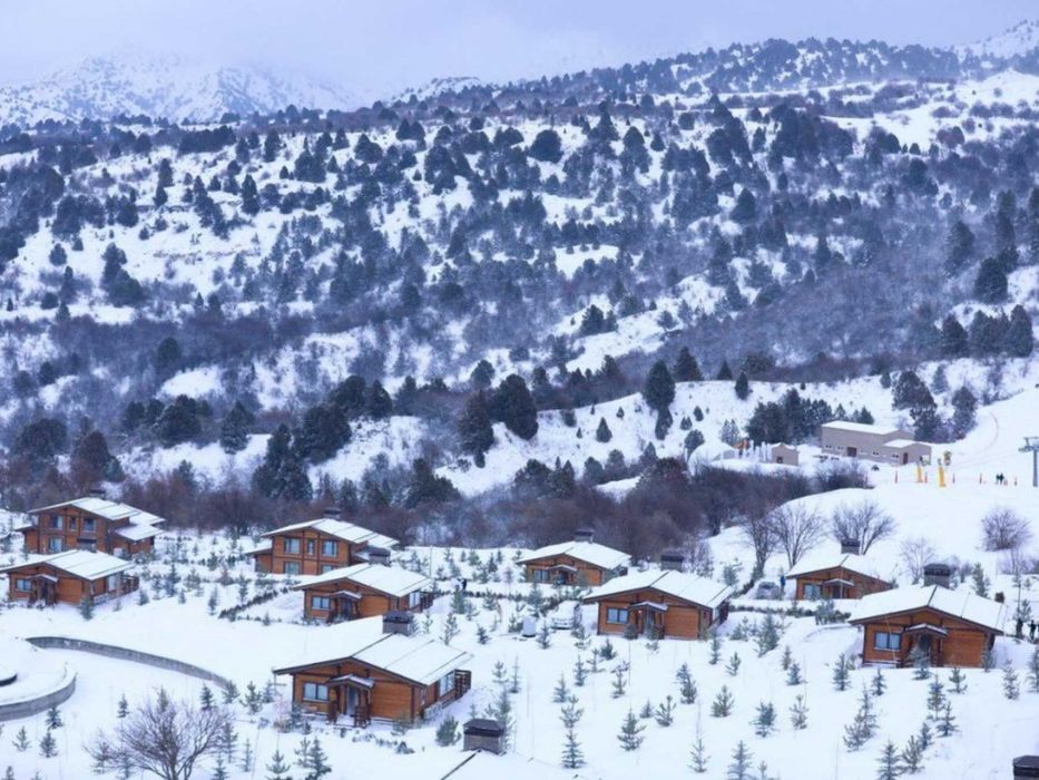 Gastronomy and Oriental Aromas of Bukhara: winter excursion with guide