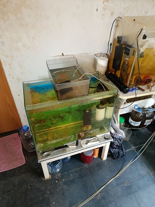 Продам аквариумы фильтры.