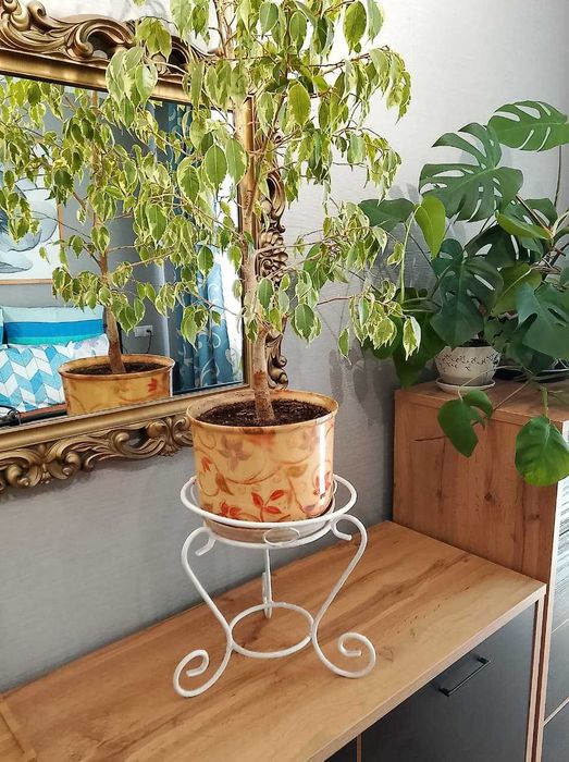 Подставка для растений