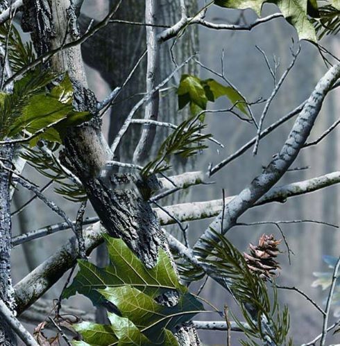 Фолио за Хидрографика