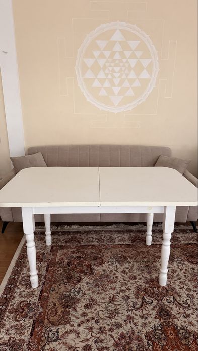 Стол и 8 стульев