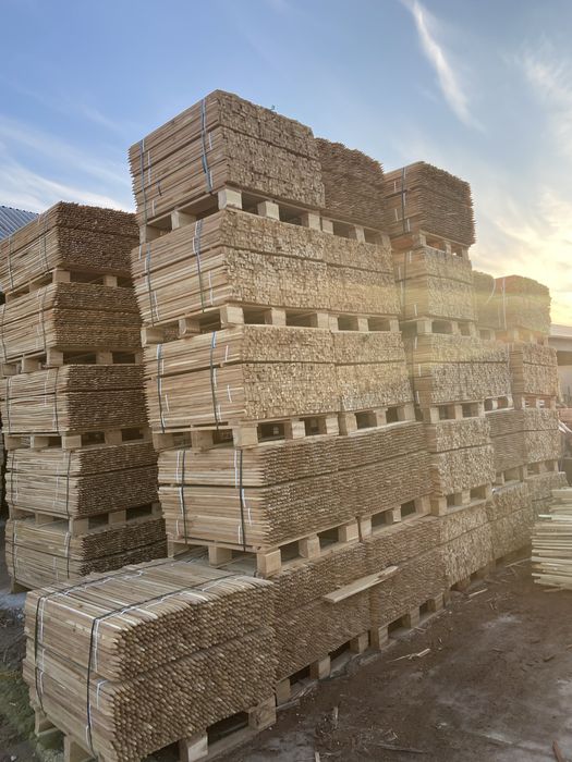 Tarusi prismatici, lemn salcam