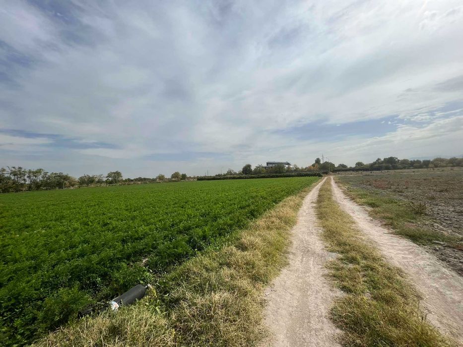 Продава се Парцел в с. Царацово, Област Пловдив - 3340 кв.м за 59 €/кв.м - Снимка #1