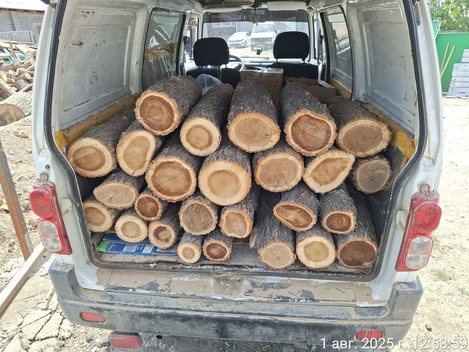 Продам пеньки карагача