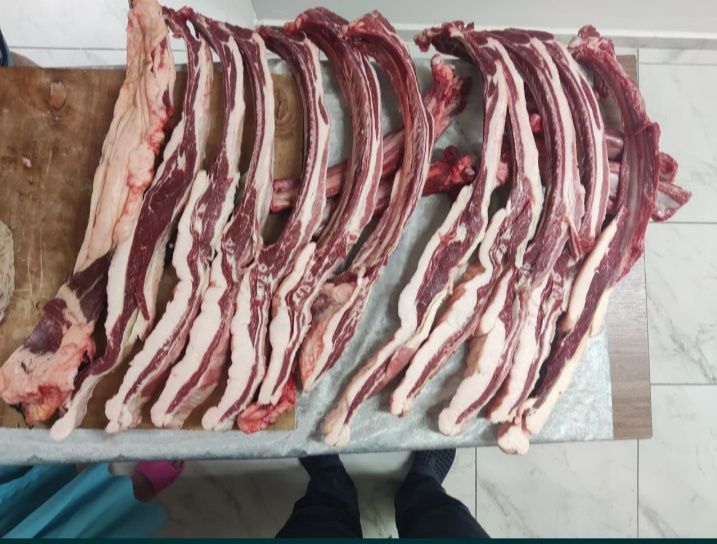 Продам согым жылкы Тай байтал донен