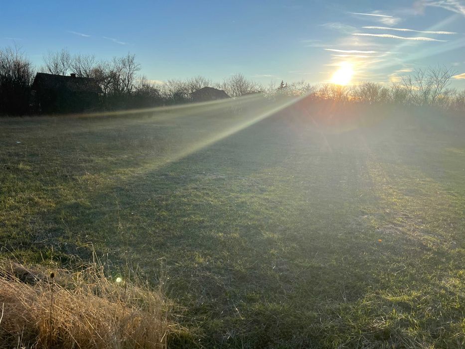 Продава се Парцел в с. Борован, Област Враца - 4000 кв.м за 16 €/кв.м - Снимка #5