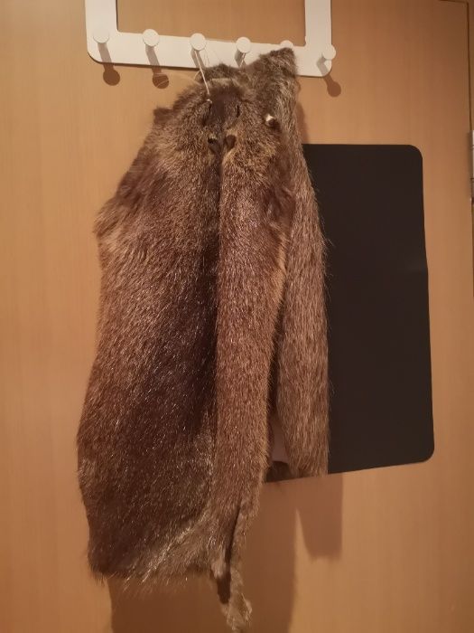 Blana de nutrie - 2 bucati