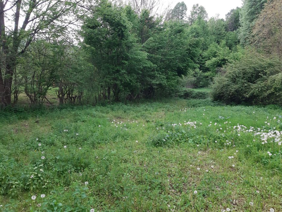 Продава се Парцел в Априлци - 2000 кв.м за 9 €/кв.м - Снимка #5