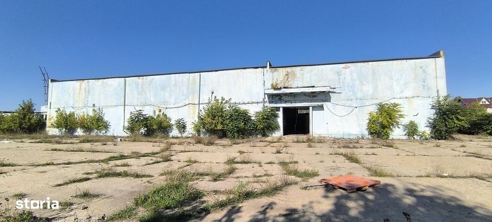 De închiriat hală + platformă betonată – Salonta, Bihor