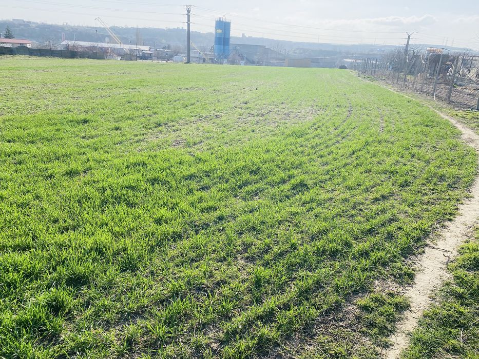 Teren Ovidiu 5500 mp lângă A2 – dublă deschidere – utilități