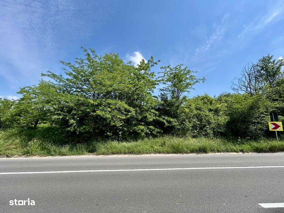 Teren intravilan 2778 mp Bucium Iași, Dublă deschidere 45 m la asfalt