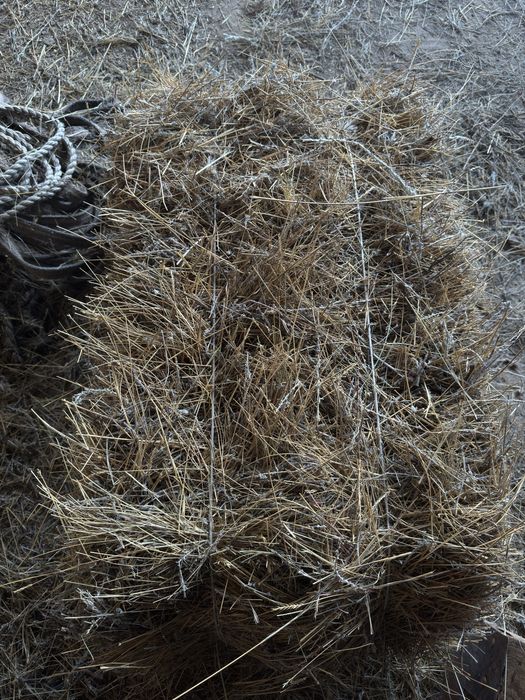 Тук сабан шөп сатылады