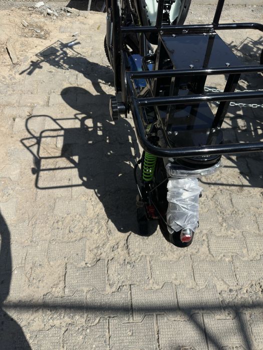 Drongo moster 2026 yil