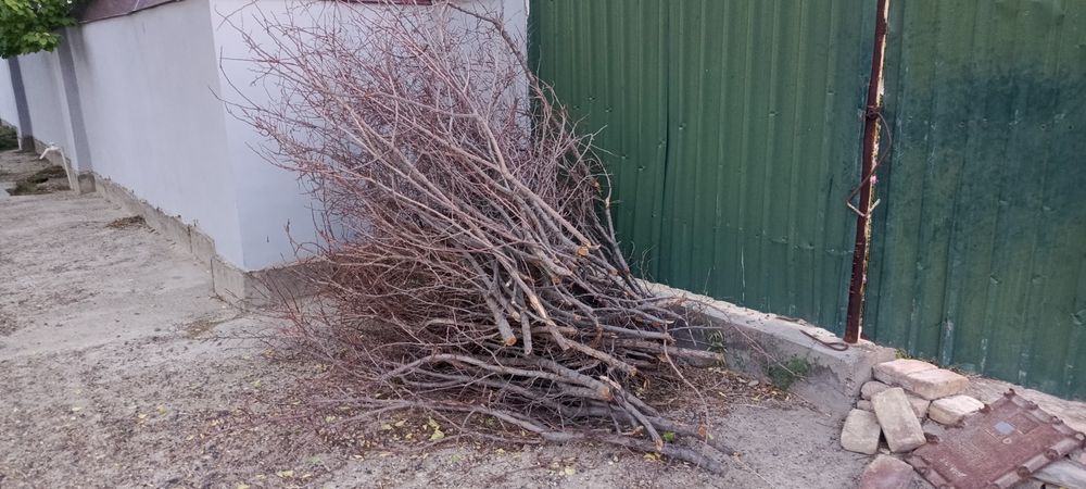 O'tin sotiladi hammasi 600.000