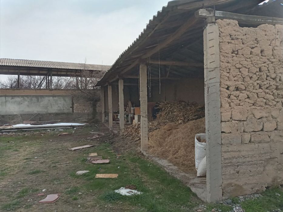 Platina tarafda. Uchaska sotiladi 16.5 sotix