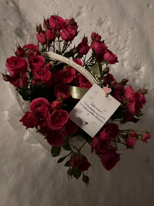 цветы продаю срочно новые