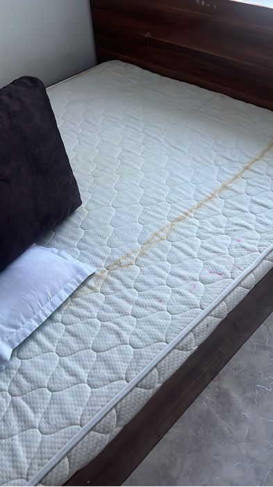 Отдам бесплатно