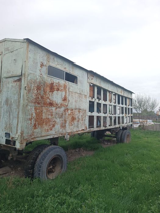 Пчелопавильон для пчеловодства