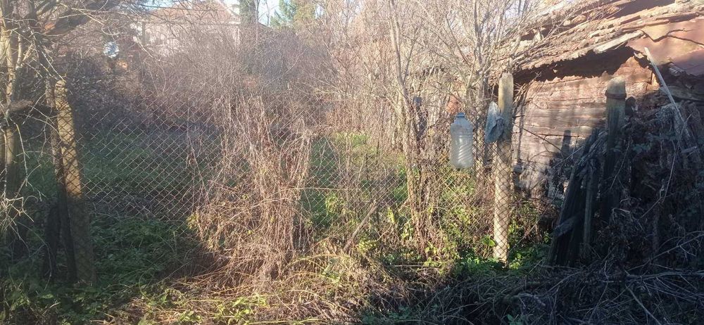 Продава се Парцел в с. Голямо Буково, Област Бургас - 500 кв.м за 21 €/кв.м - Снимка #6