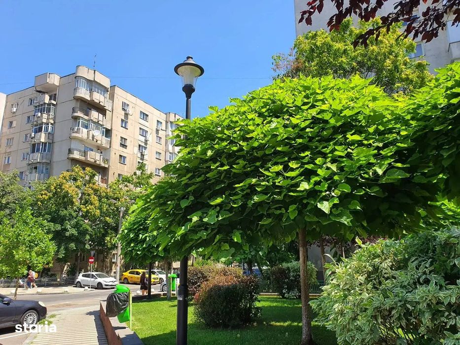 Sebastian Ispirescu, Renovat Complet, Bloc 1987