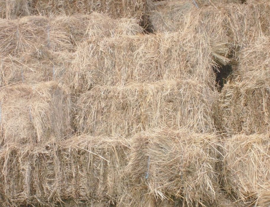 Baloți fan și baloți ovaz