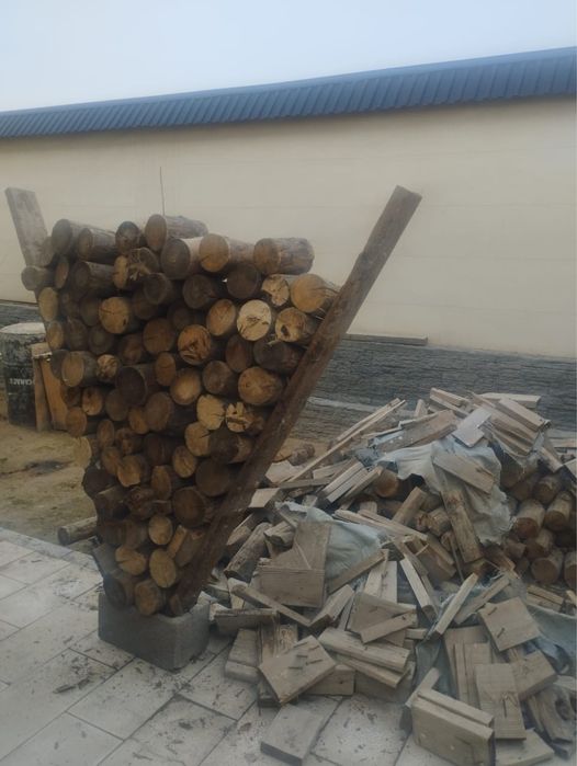 Кесілген ағаштар сатылады