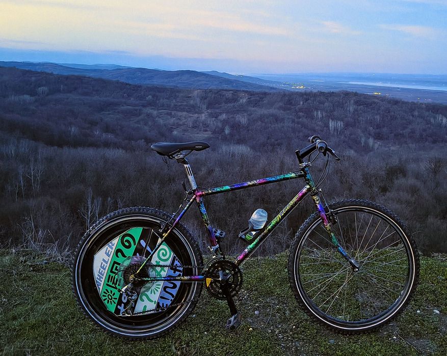 Wilier/ Wheeler  roată lenticulară  Tange infinity