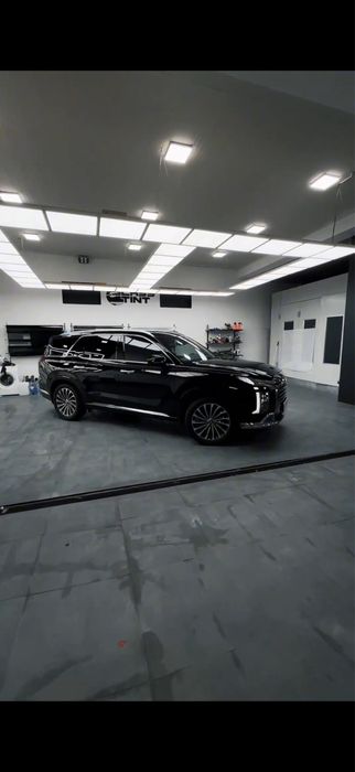 Hyundai Palisade calligraphy