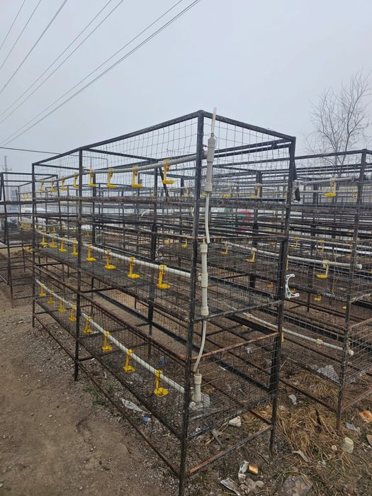 Клетки для кур металлические