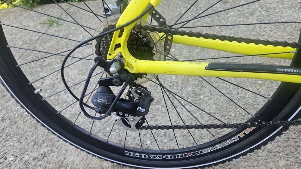 Bicicleta Mckenzie hill 500x