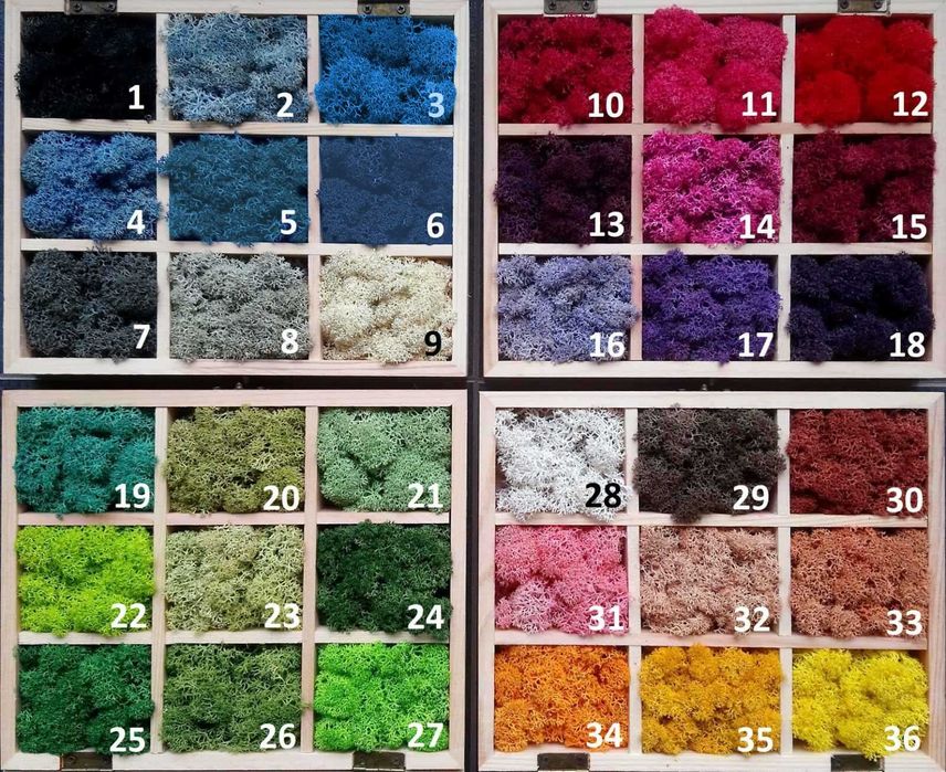 Изработване пана/картини от видове и цветове скандинавски мъх