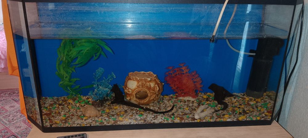 Продам Аквариум с декорациями в комплекте