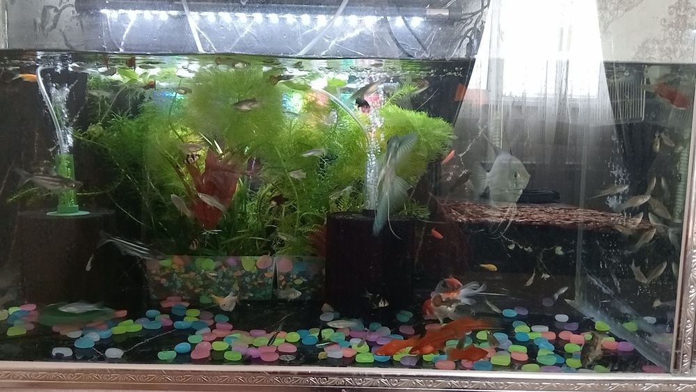 Акварим 250литр комплекте все