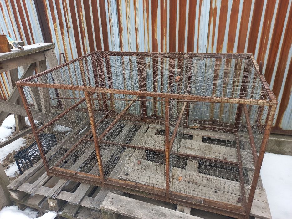 Сетка для птиц и цыплят , поп