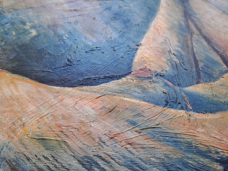 tablou pictura pe pfl 60/71,5 cm semnat provenienta Franta