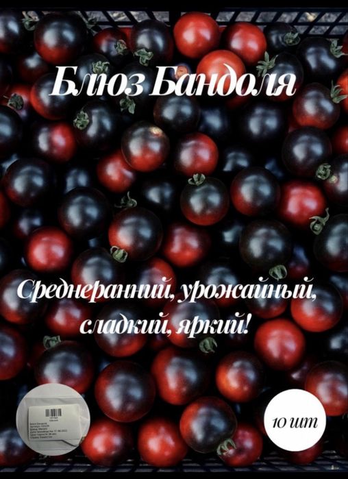 Рассада томатов крепкая