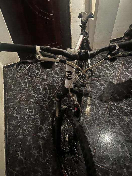 Bicicleta focus cypress