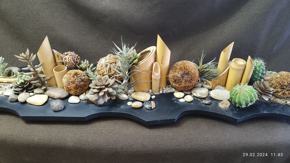 Зеленый сад фитостена