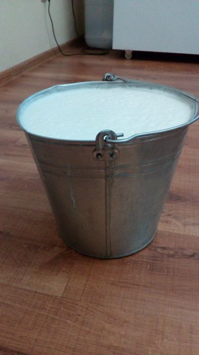 В продаже бык Ф1 Алатау-Симентал