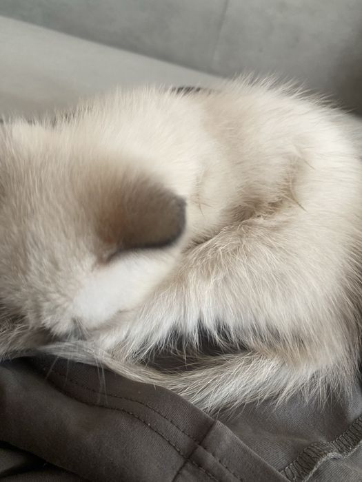 Алаомоаоалмслалмшмлплмлмлмлслалммллслпилмллпплилмлплрлмлмлплплммл