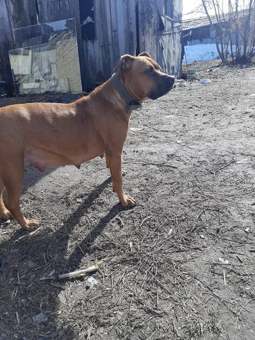 Открыта бронь ..