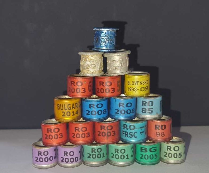 Inele vechi de porumbei RSR si FCI, UCP, FRSC