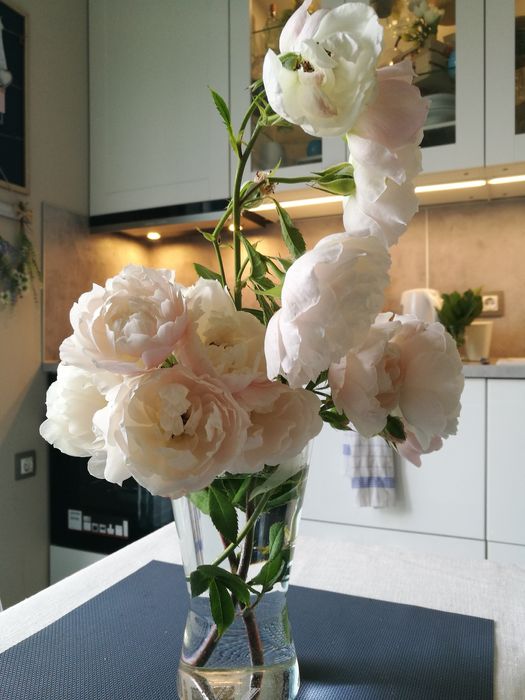 Продава се Къща в Пловдив, Беломорски - 146 кв.м за 1922 €/кв.м - Снимка #6