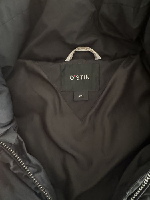 Курки осень