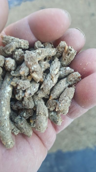 Продается экструдированный корм