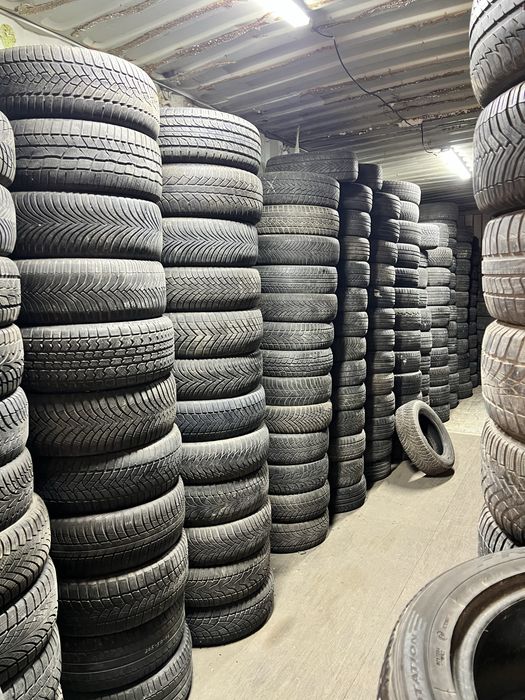 Одиночка балондар, Безпарный 1 шт