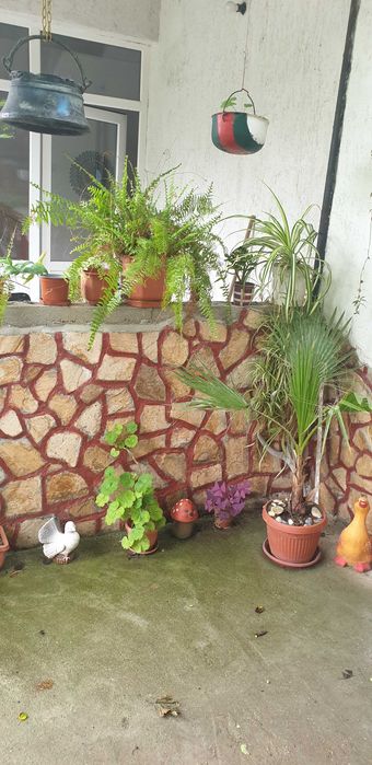 Продава се Къща в Силистра, в.з. Юг - 130 кв.м за 447 €/кв.м - Снимка #4