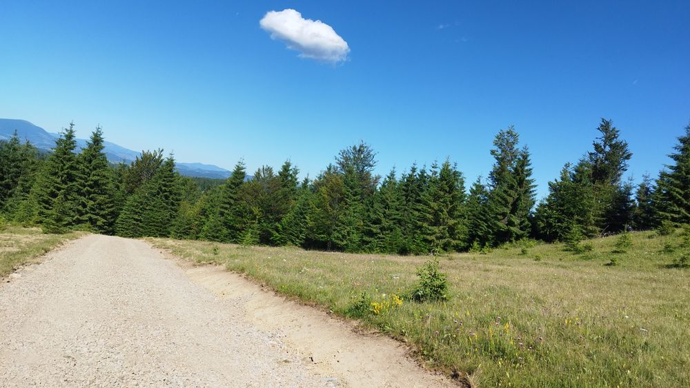 Teren  Piatra Fântânele / Pasul Tihuta 1.450  euro/ar