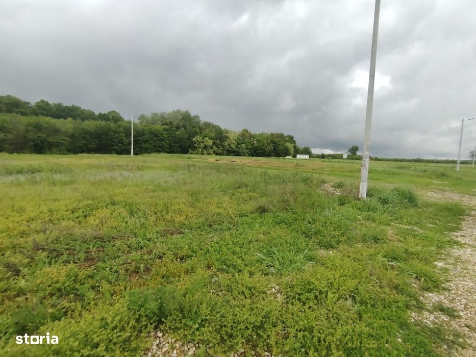 Teren intravilan - 860 mp - Deschidere 20 mp - Eforest - Crevedia